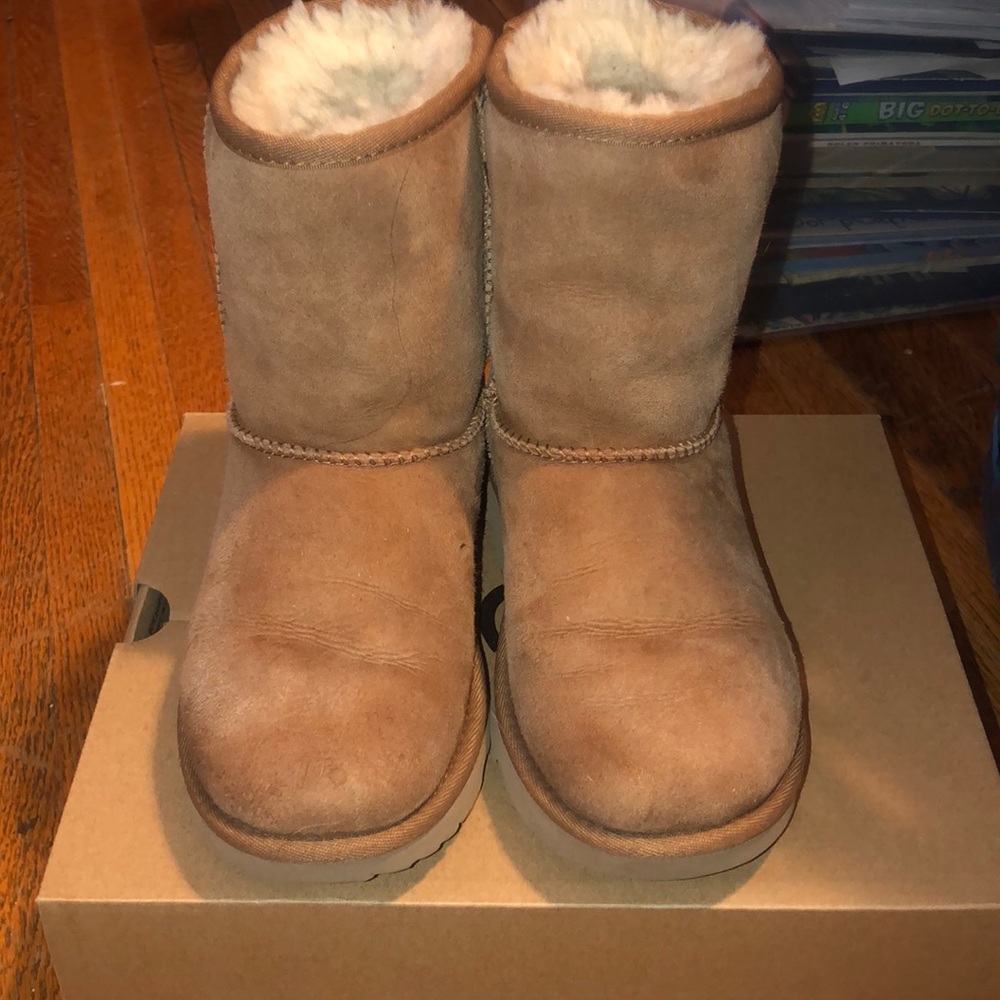Chestnut UGG